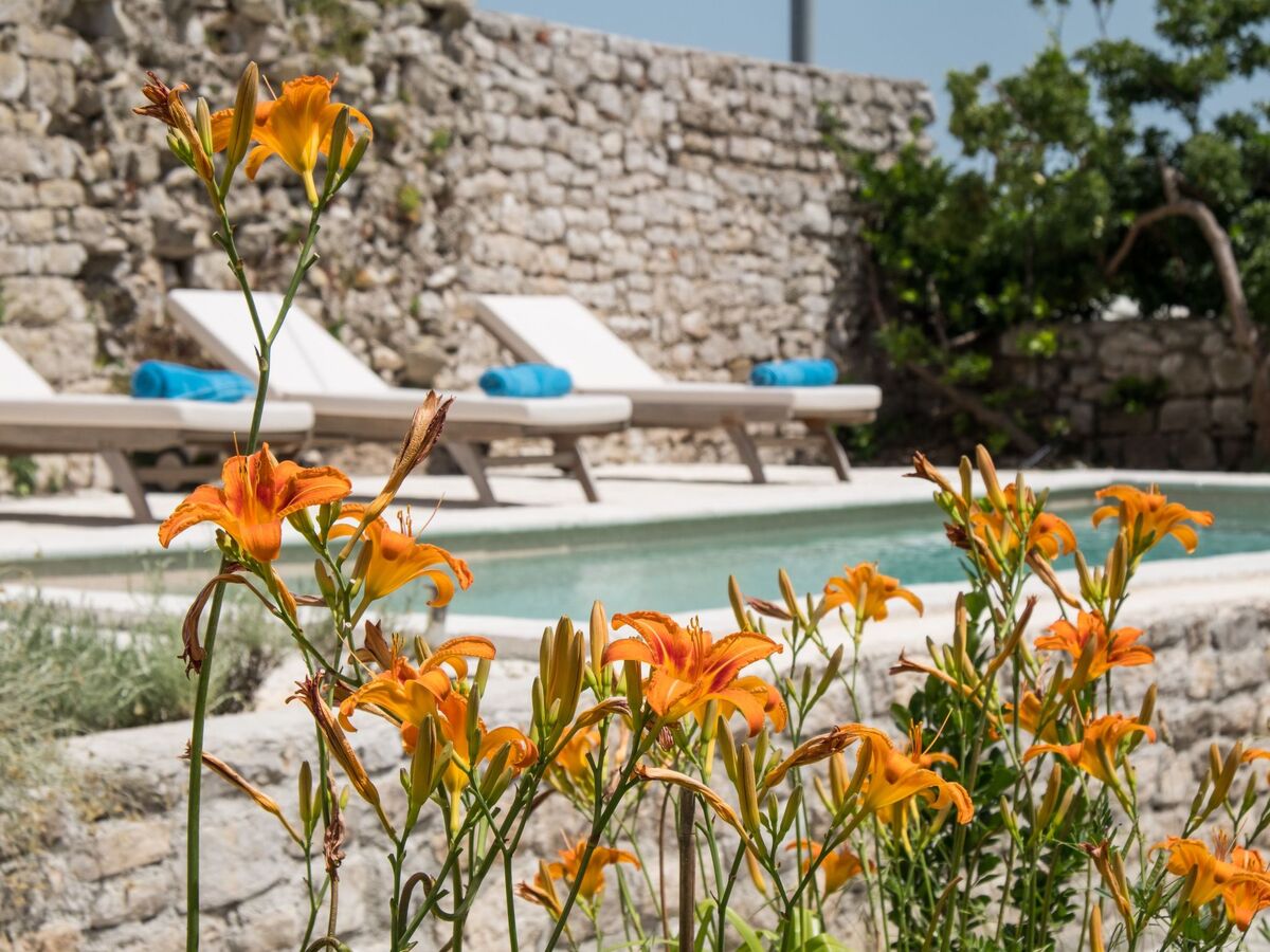 Maison Osor avec piscine privée chauffée - Photo 4