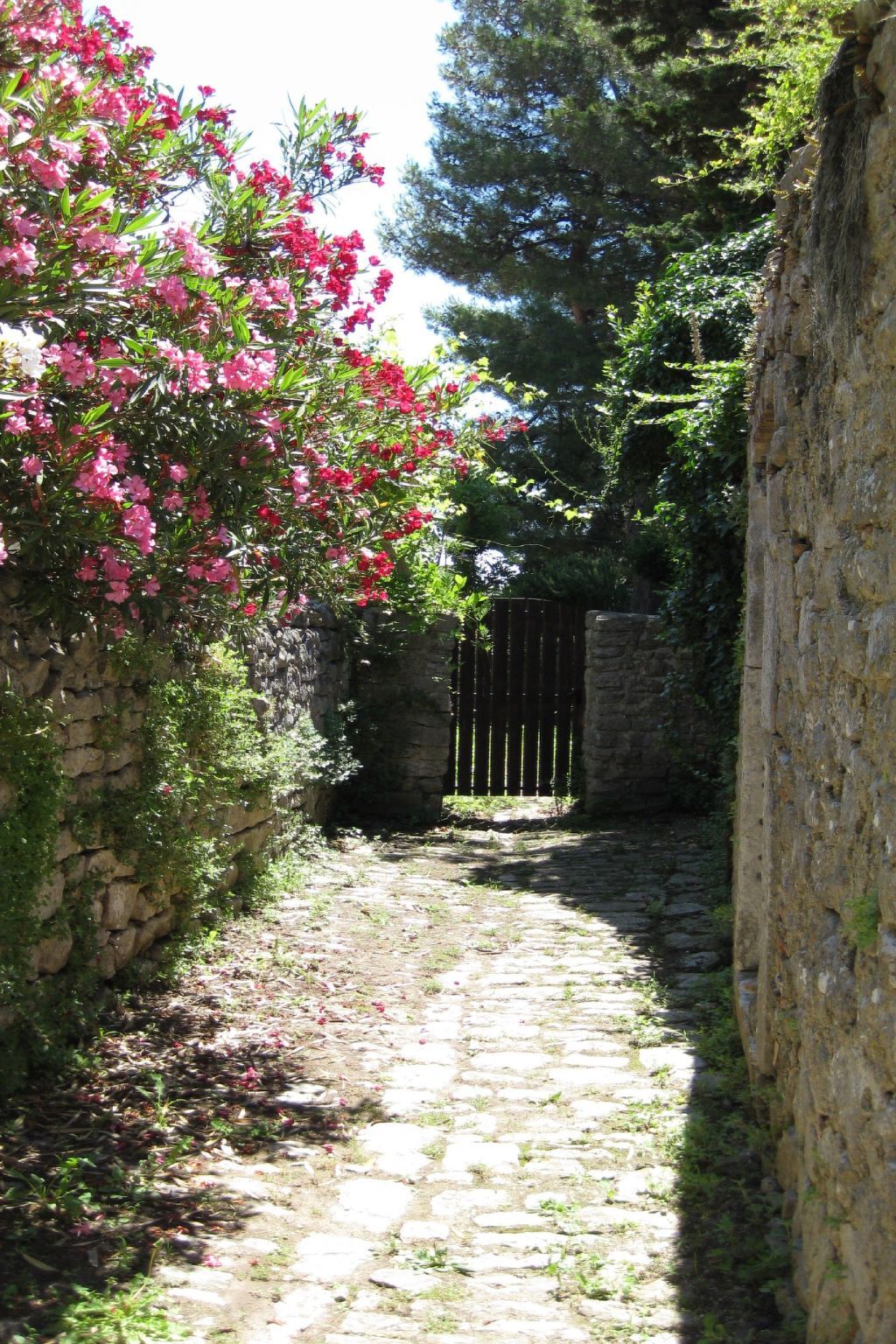 Maison Osor avec piscine privée chauffée - Photo 41