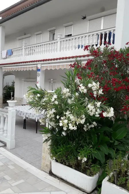 Maison 3 chambres avec jardin clôturé et plage à 350m : photo 4