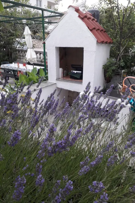 Maison 3 chambres avec jardin clôturé et plage à 350m : photo 28