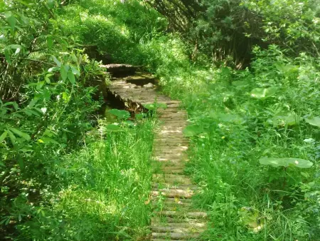 Maison écologique à Rudanovac, 10 km des lacs de Plitvice : photo 4