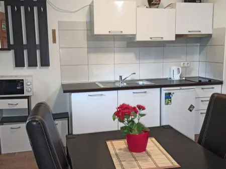 Maison 5 chambres avec vue montagne près des lacs de Plitvice : photo 18