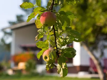 Maison Lana avec piscine et jardin à Rudanovac : photo 6