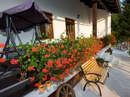 Maison Lana avec piscine et jardin à Rudanovac : photo 9