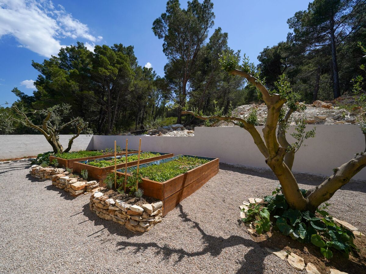 Villa Karla à Pridraga : maison pierre avec piscine - Photo 24
