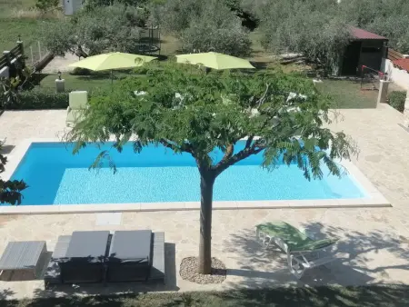 Maison 6 chambres avec piscine à Posedarje : photo 32