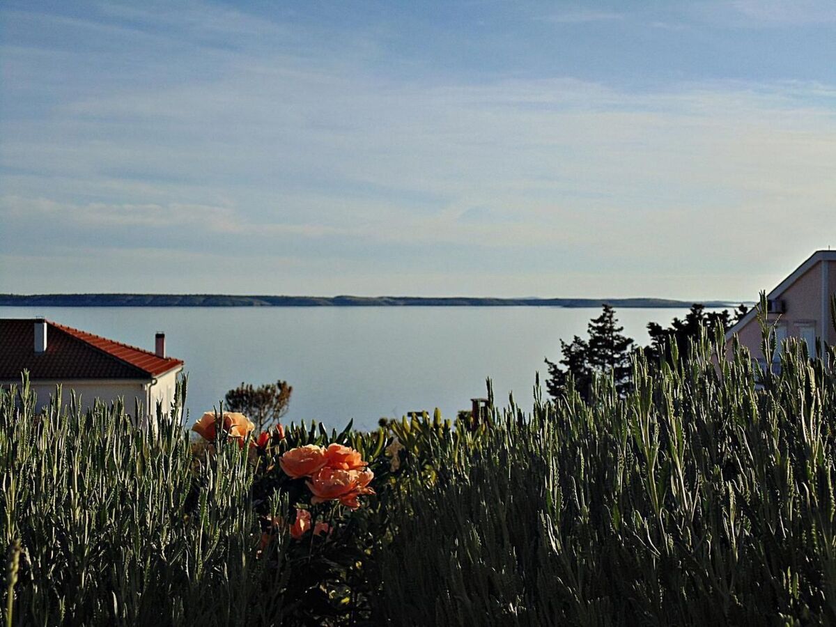 Maison 9 pers. à Rtina, 70 m de la mer - Photo 11