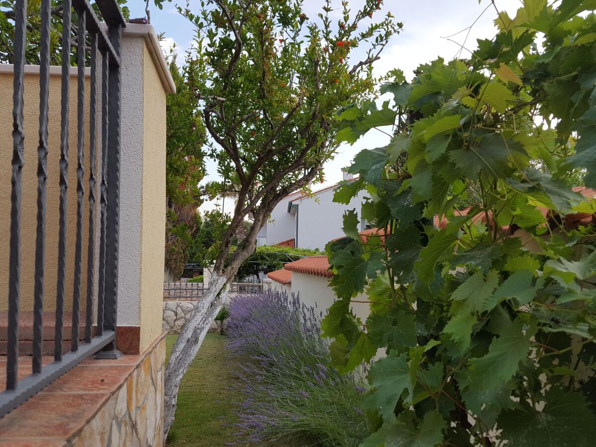 Maison Lavanda, 8 personnes à 250 m de la mer - Photo 21