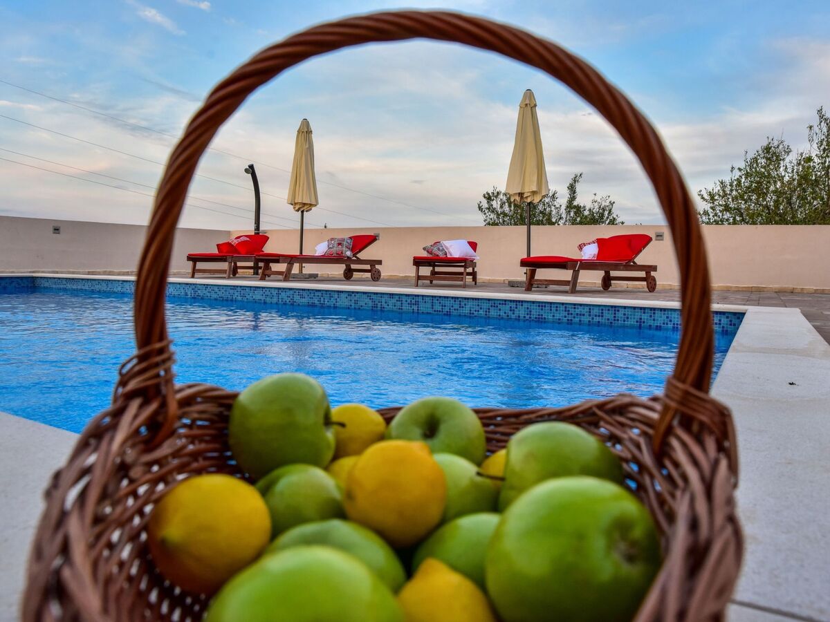 Villa Maslina à Nin : piscine privée et vue Velebit - Photo 1