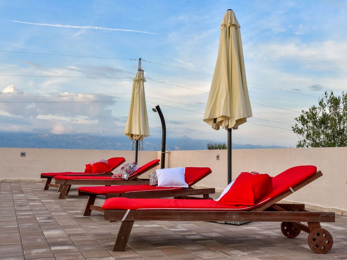 Villa Maslina à Nin : piscine privée et vue Velebit - Photo 4