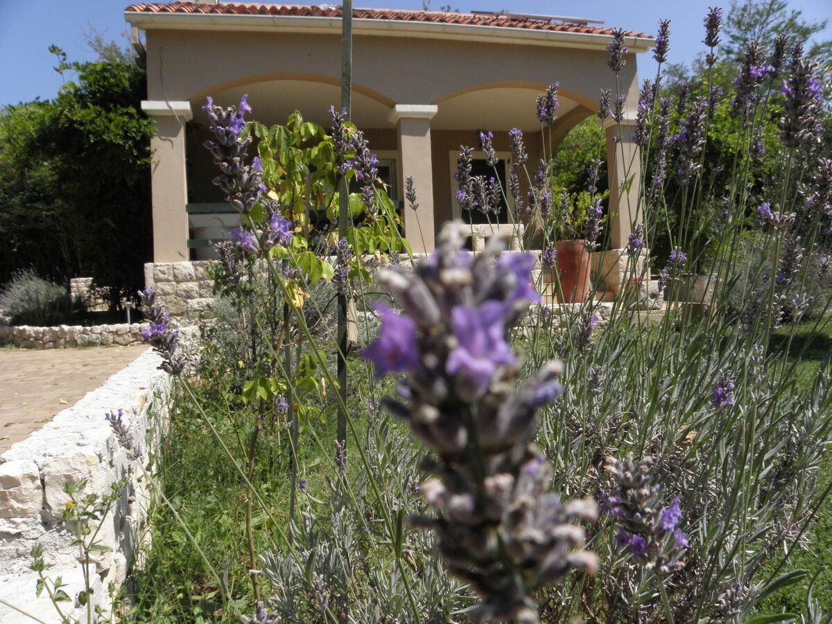 Maison au bord de la rivière Miljašić à Nin - Photo 7