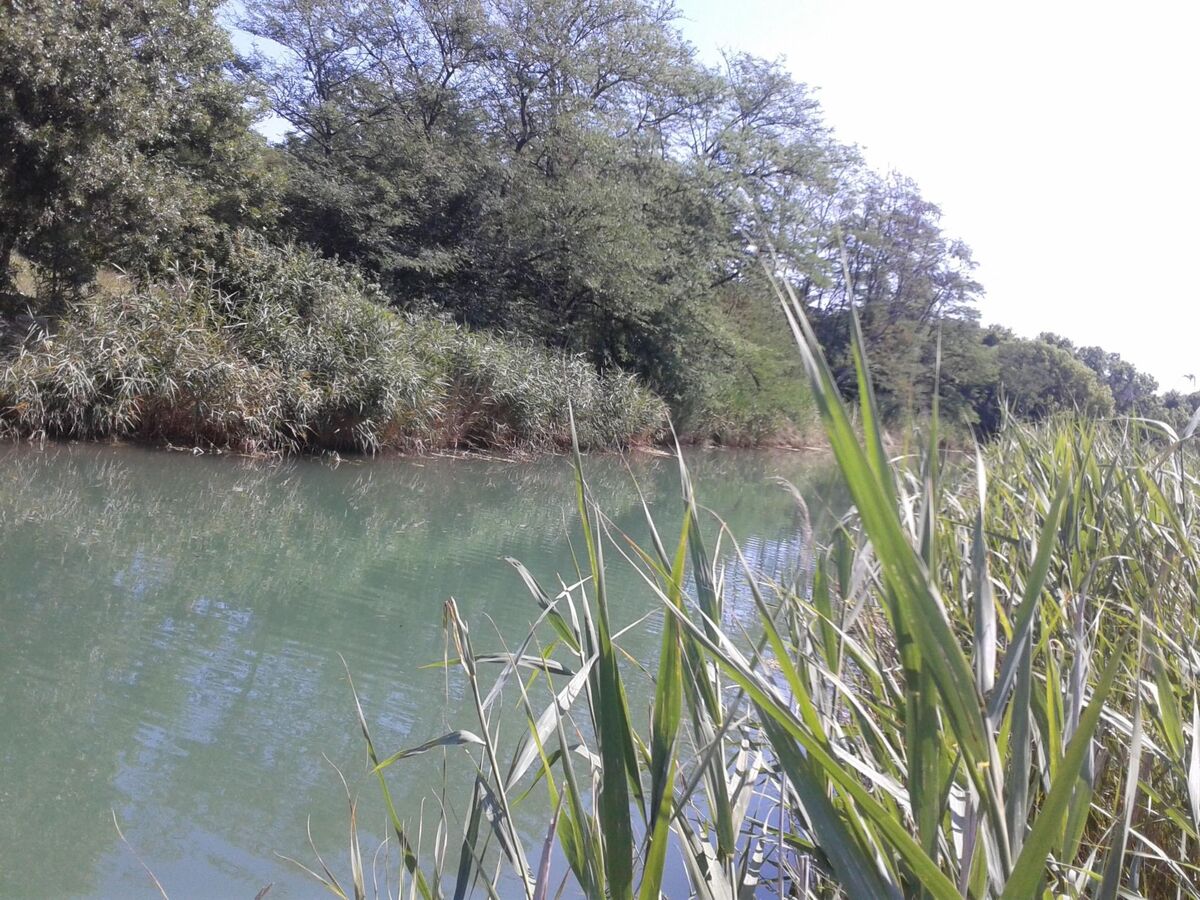 Maison au bord de la rivière Miljašić à Nin - Photo 22