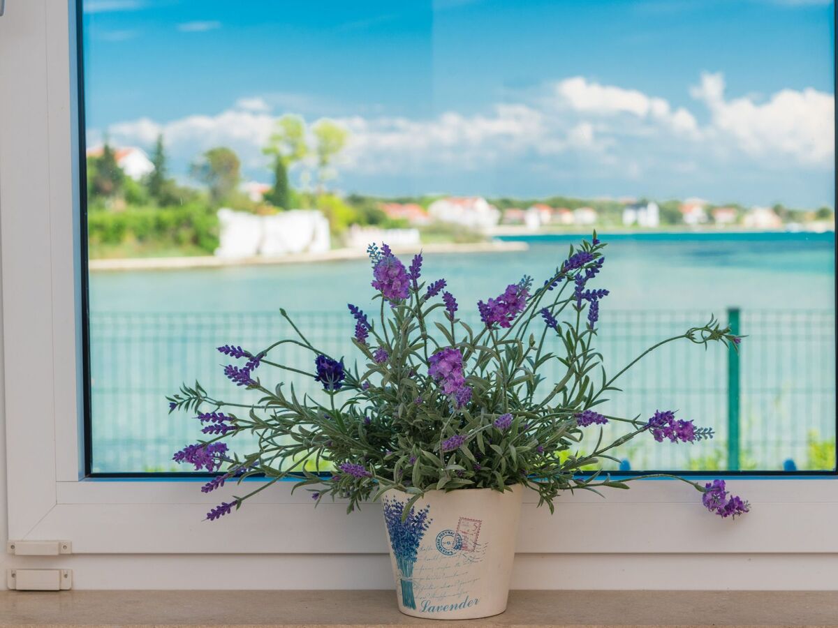 Villa Miri Orchid - Maison 8 pers. piscine privée Privlaka - Photo 18