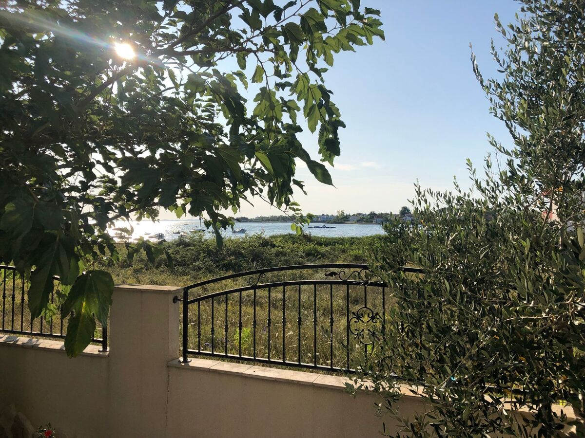 Villa Olive Grove - Maison 8 pers. pieds dans l'Adriatique - Photo 4