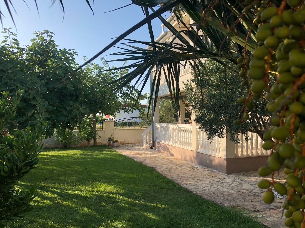 Villa Olive Grove - Maison 8 pers. pieds dans l'Adriatique - Photo 7