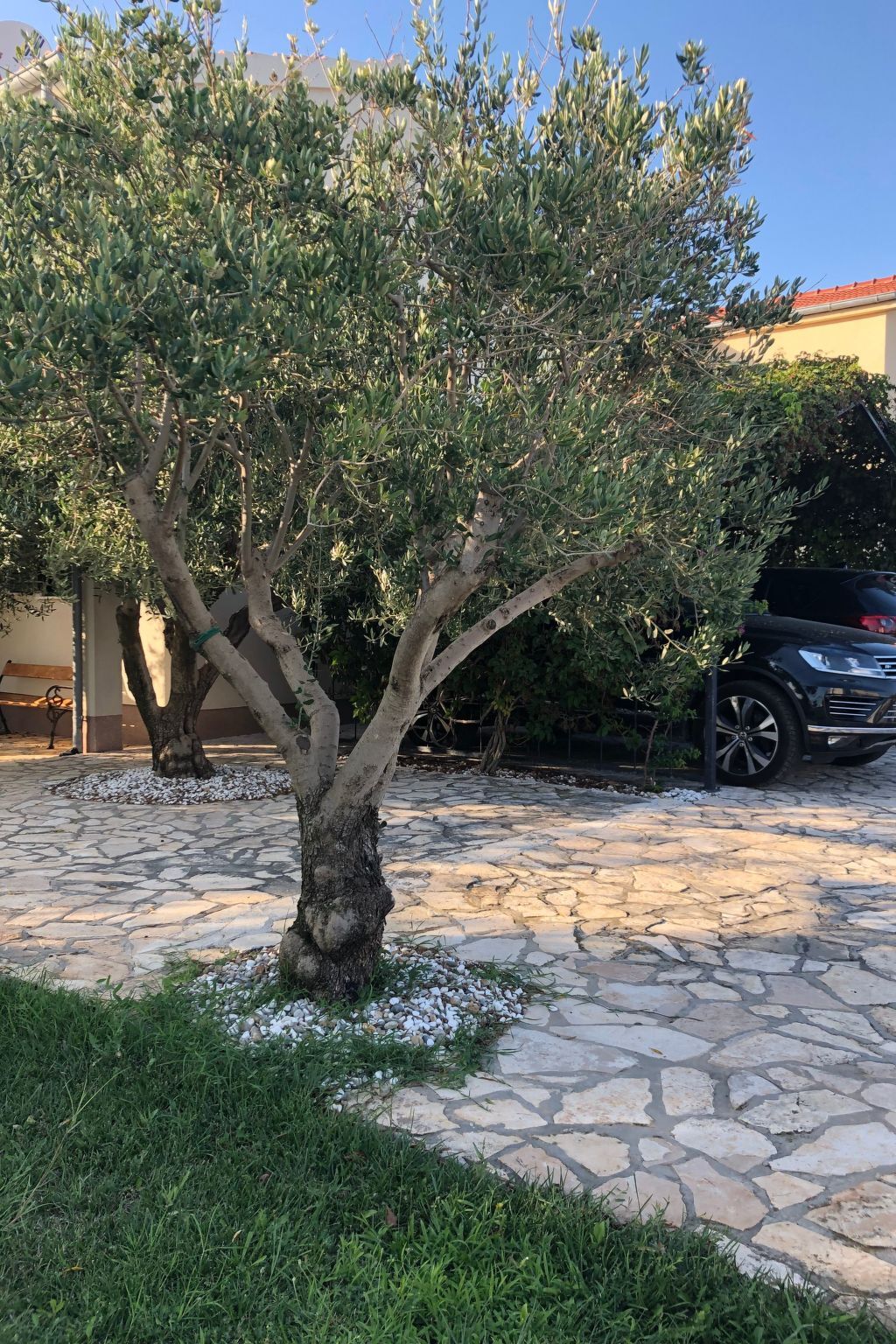 Villa Olive Grove - Maison 8 pers. pieds dans l'Adriatique - Photo 10