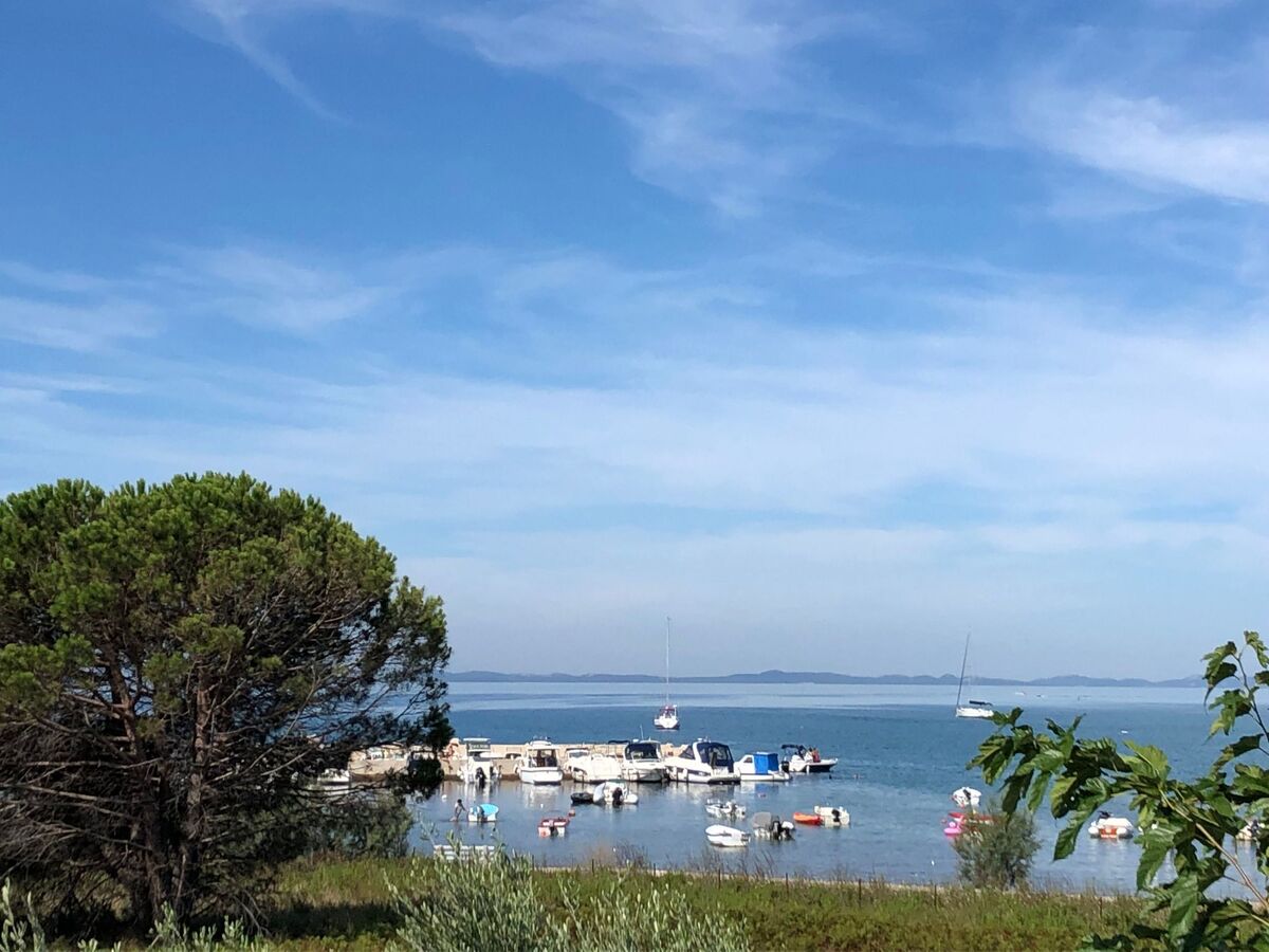 Villa Olive Grove - Maison 8 pers. pieds dans l'Adriatique - Photo 16