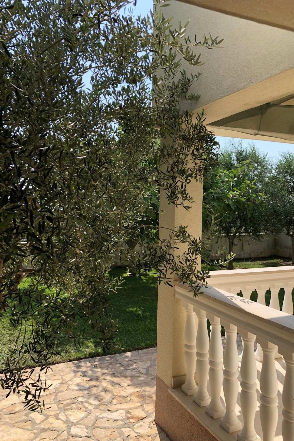 Villa Olive Grove - Maison 8 pers. pieds dans l'Adriatique - Photo 25