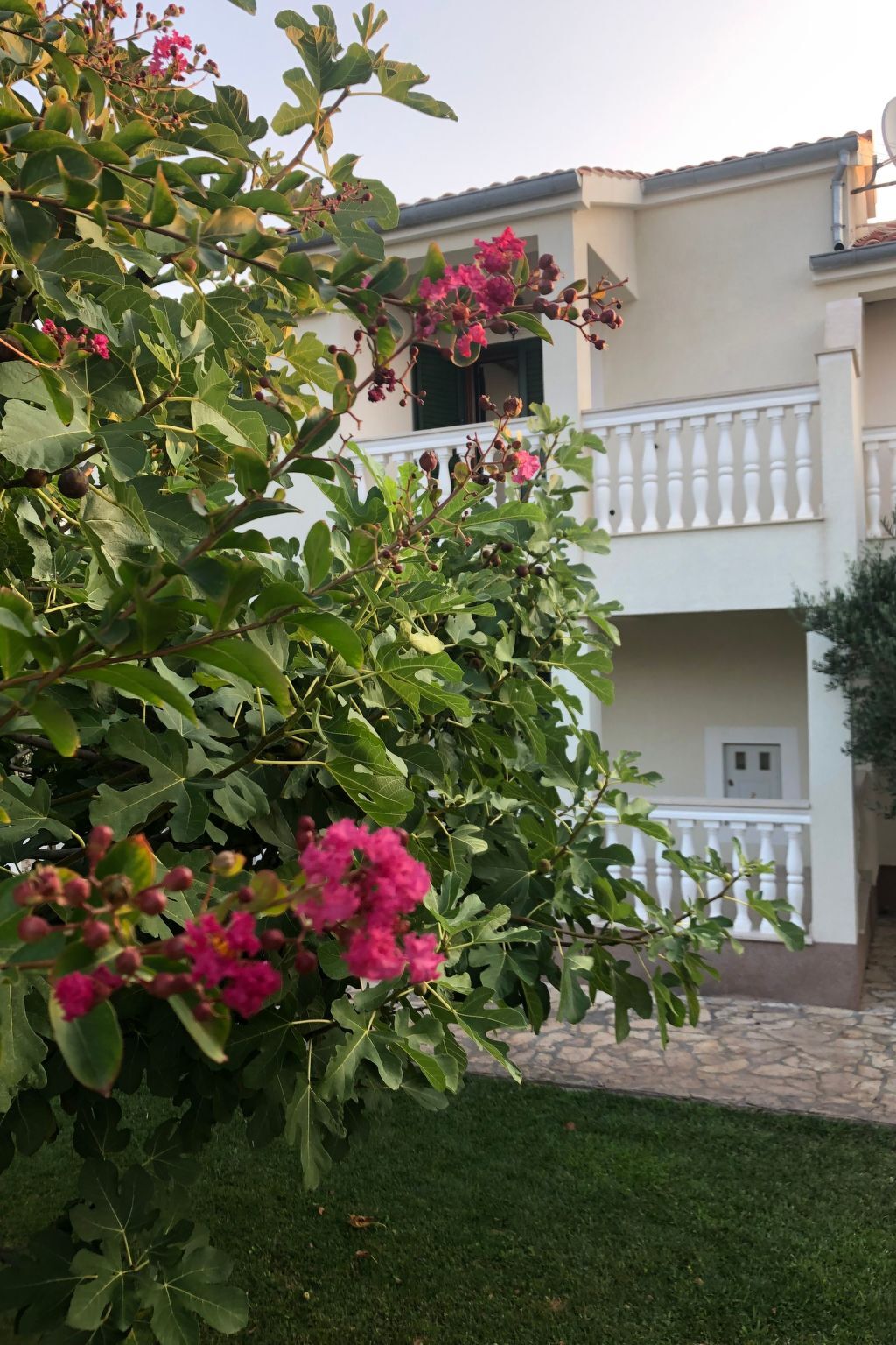 Villa Olive Grove - Maison 8 pers. pieds dans l'Adriatique - Photo 37