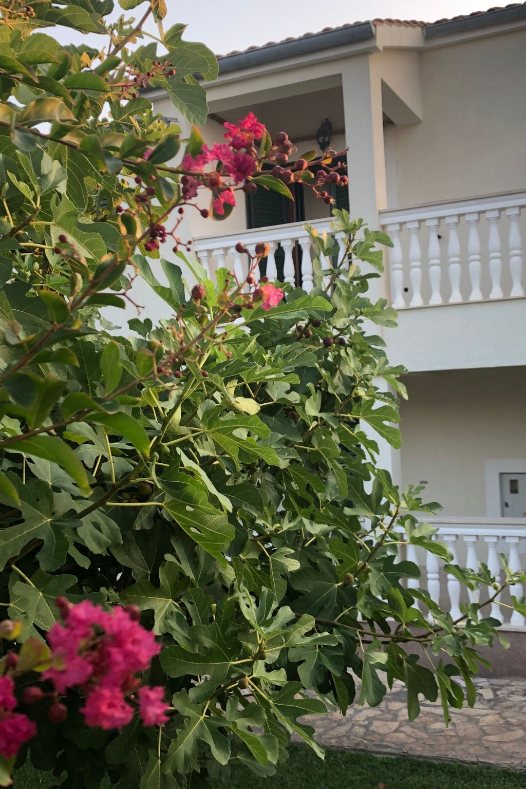 Villa Olive Grove - Maison 8 pers. pieds dans l'Adriatique - Photo 38
