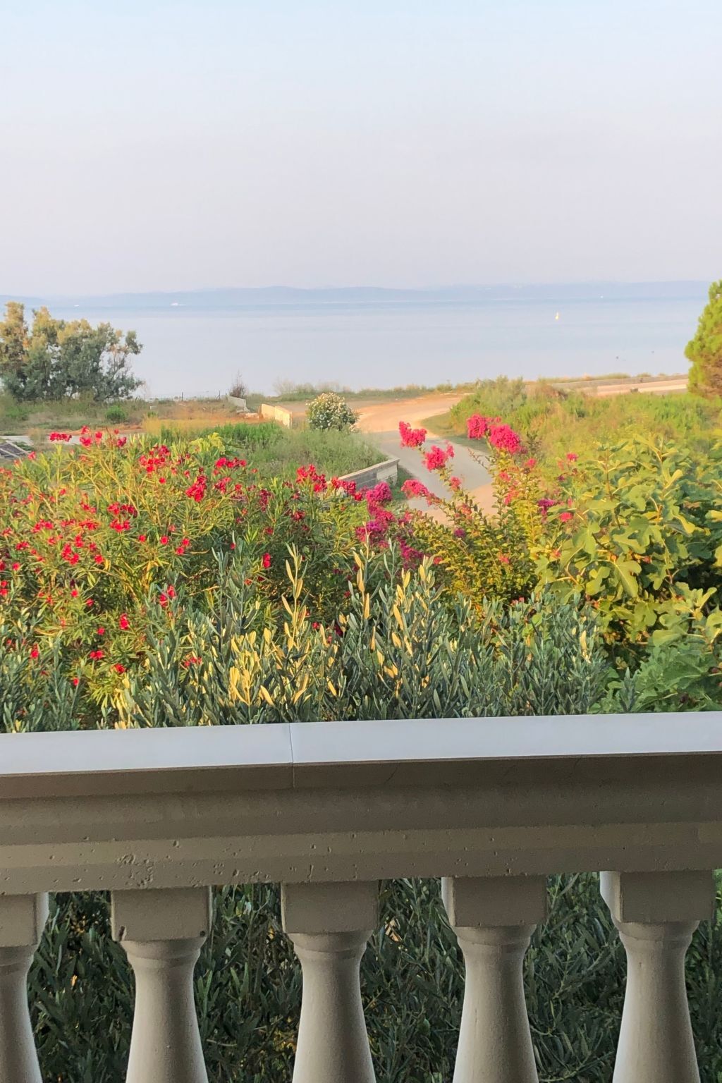 Villa Olive Grove - Maison 8 pers. pieds dans l'Adriatique - Photo 41