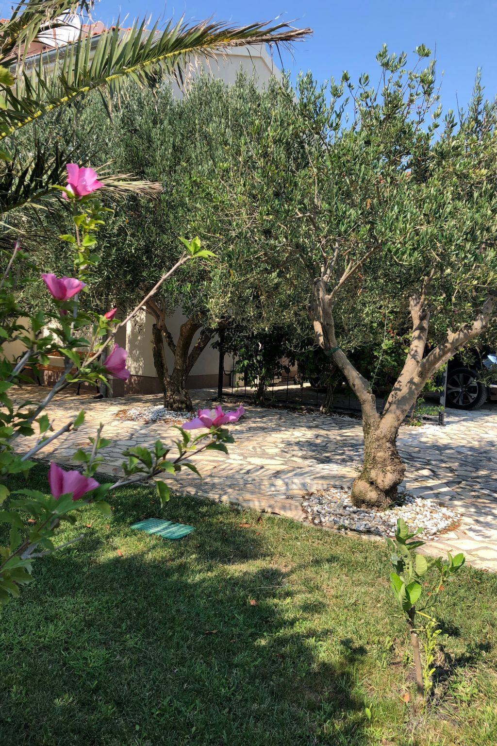 Villa Olive Grove - Maison 8 pers. pieds dans l'Adriatique - Photo 42