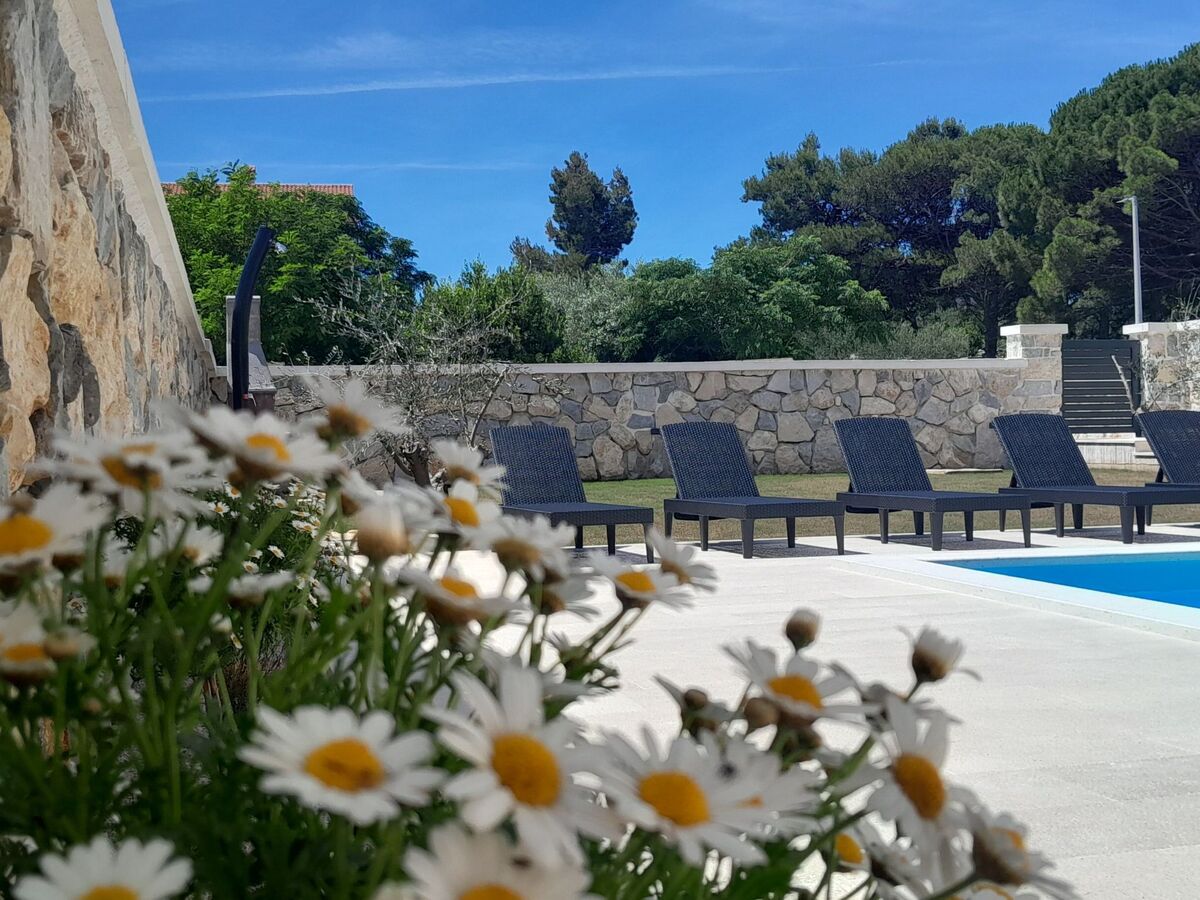 Villa neuve 4 chambres avec piscine privée à Privlaka - Photo 12