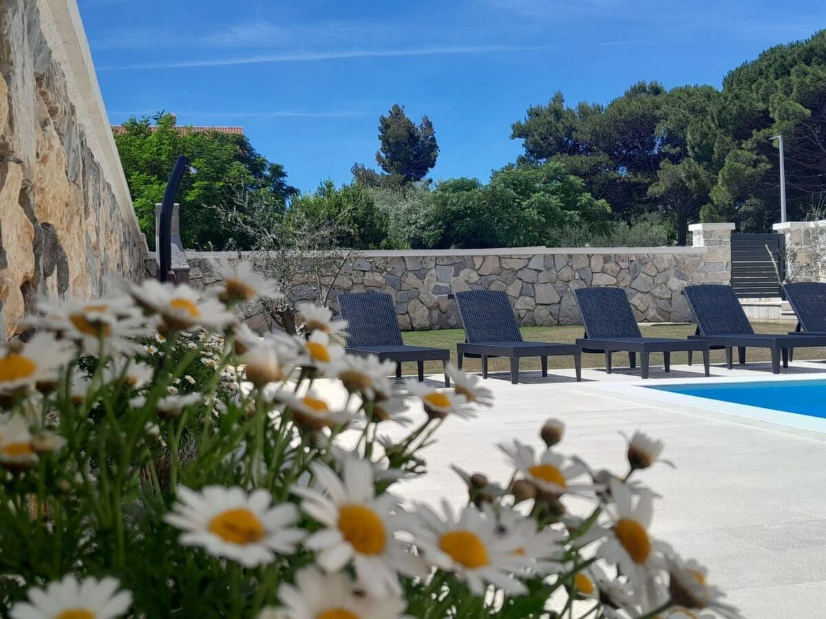 Villa neuve 4 chambres avec piscine privée à Privlaka - Photo 99