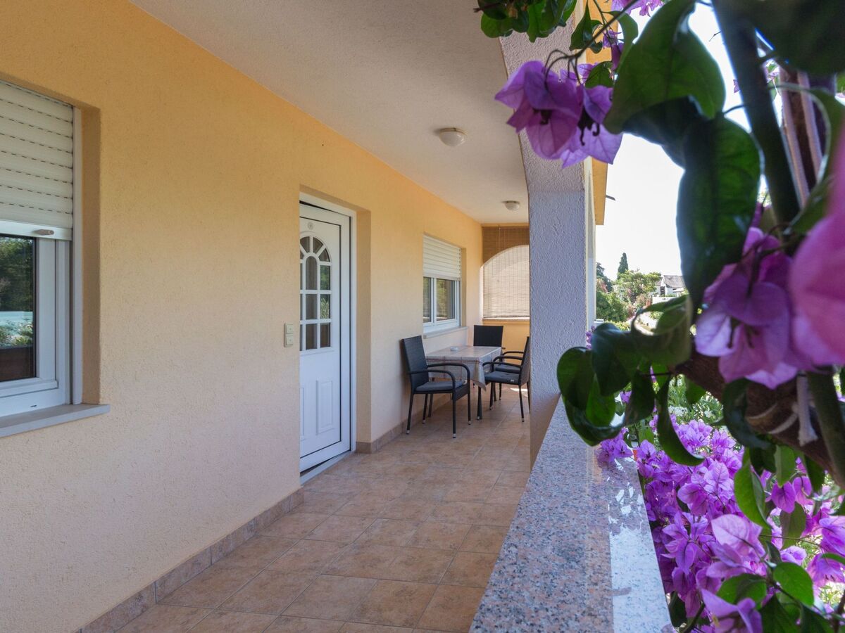Villa Malina à Privlaka : maison 10 pers. avec piscine privée - Photo 29