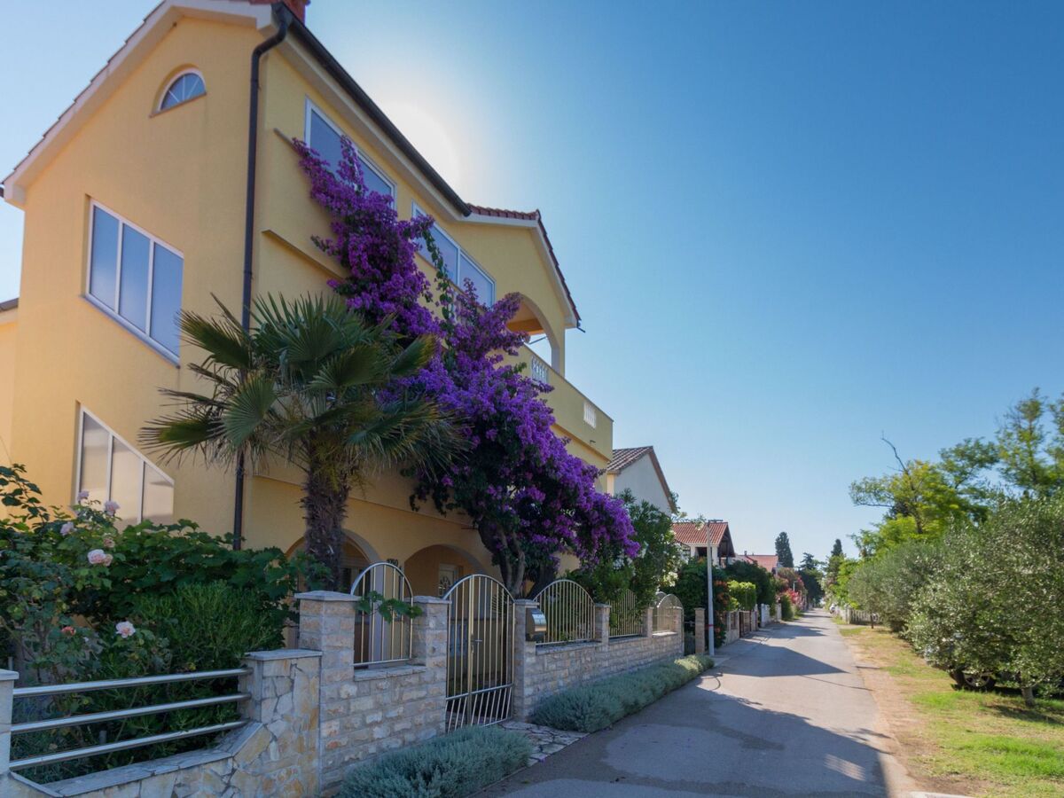 Villa Malina à Privlaka : maison 10 pers. avec piscine privée - Photo 31