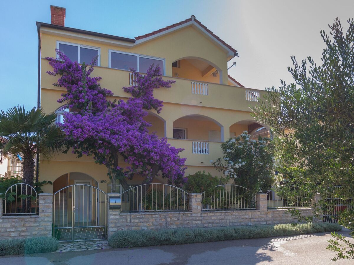 Villa Malina à Privlaka : maison 10 pers. avec piscine privée - Photo 33