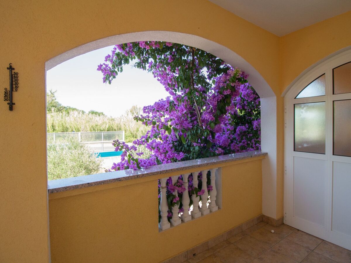 Villa Malina à Privlaka : maison 10 pers. avec piscine privée - Photo 68