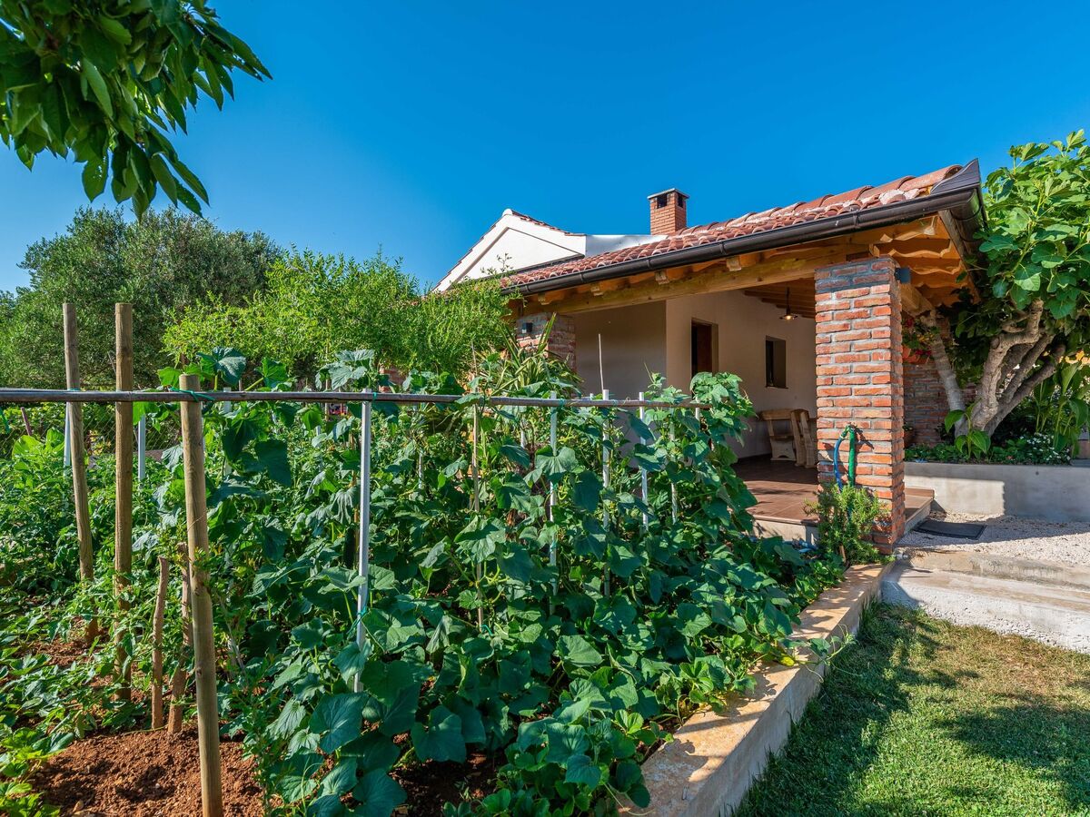 Rustica Casa Augustinus – Maison avec piscine à Debeljak - Photo 10