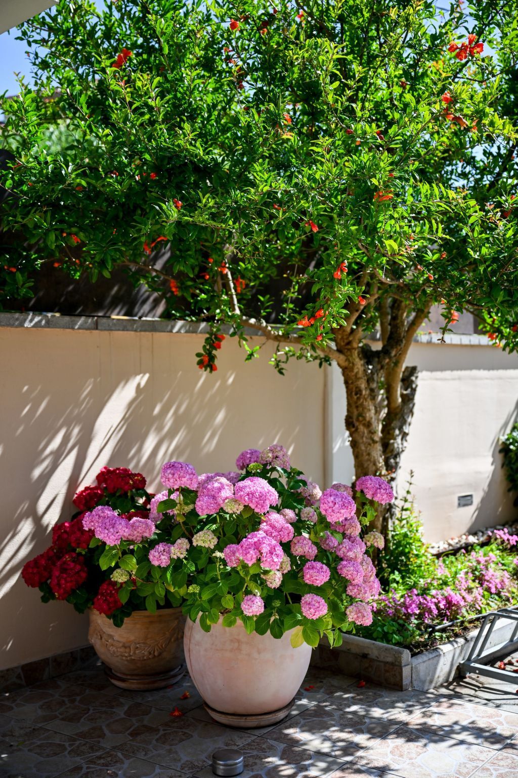 Villa 6 chambres avec piscine privée à Donje Rastane - Photo 45