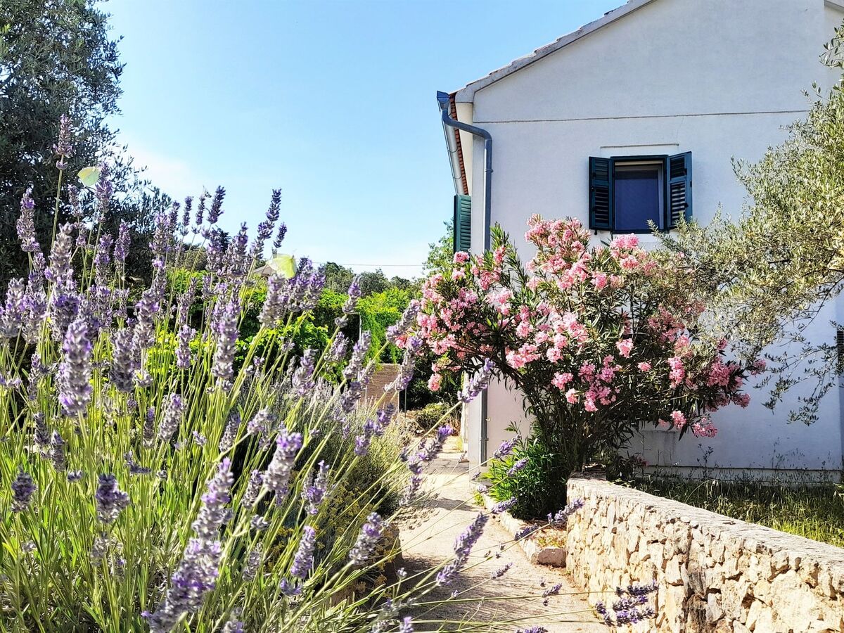 Maison rustique Lukoran, 3 chambres, parking privé - Photo 20