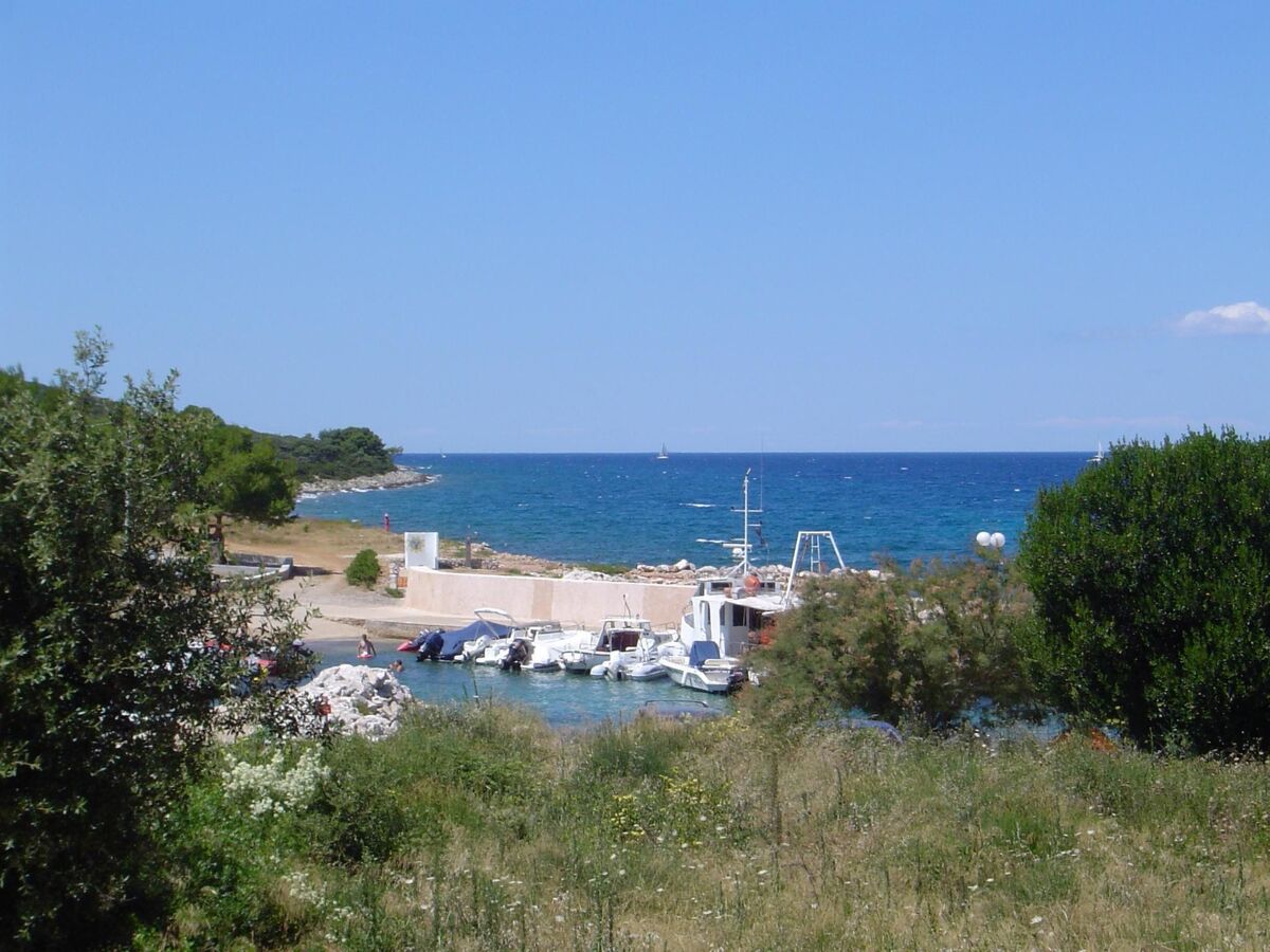 Maison 50 m de la mer à Ugljan, terrasse et jardin - Photo 3