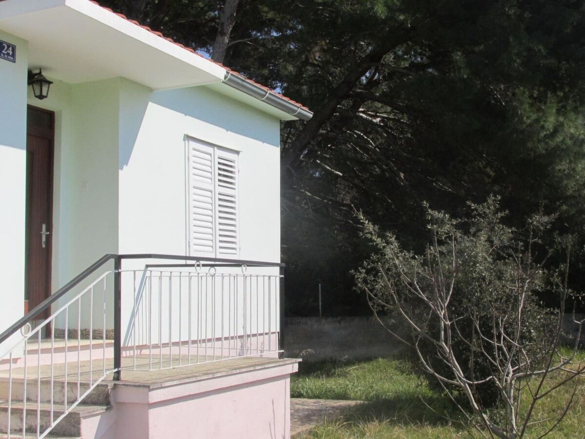 Maison 50 m de la mer à Ugljan, terrasse et jardin - Photo 14
