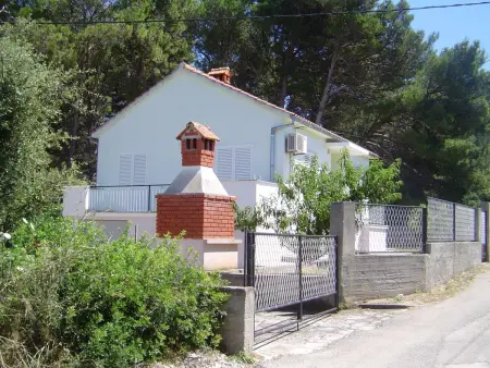 Maison 50 m de la mer à Ugljan, terrasse et jardin