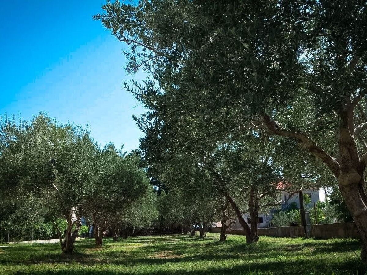 Maison moderne à 20m de la plage, Dobropoljana - Photo 7