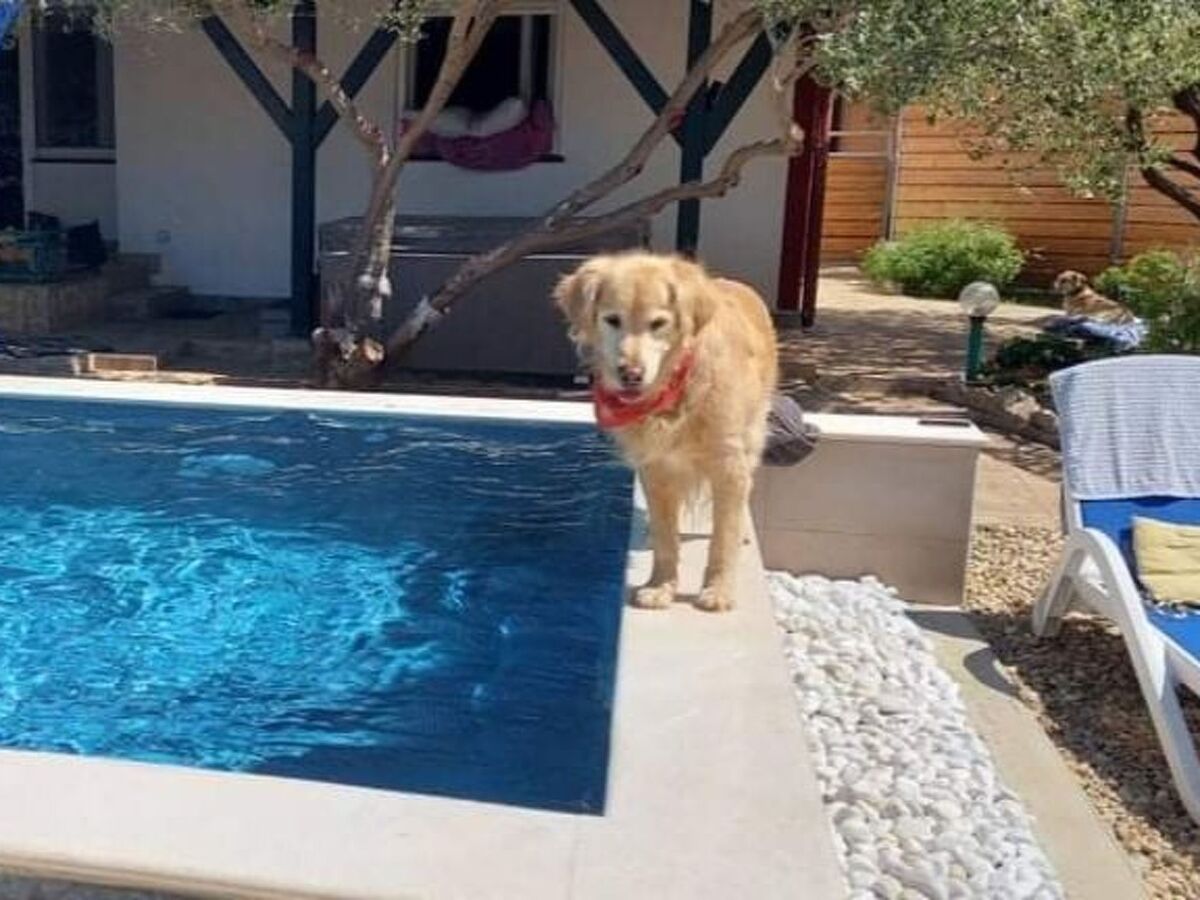 Maison avec jacuzzi et piscine à Biograd na Moru - Photo 23
