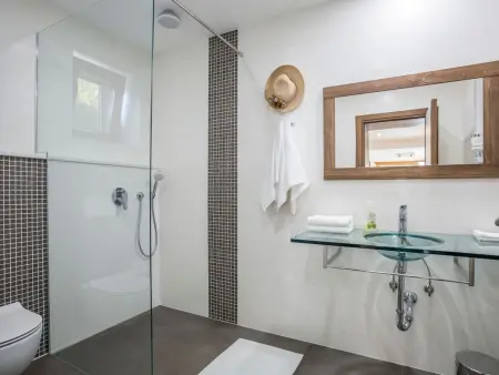 Maison 10 personnes avec piscine à Ražanj : photo 11