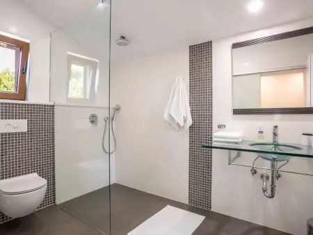 Maison 10 personnes avec piscine à Ražanj : photo 17