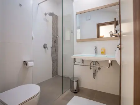 Maison 10 personnes avec piscine à Ražanj : photo 25