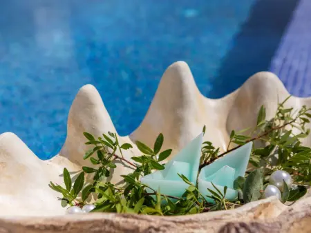 Maison avec piscine privée chauffée à Podorljak : photo 49