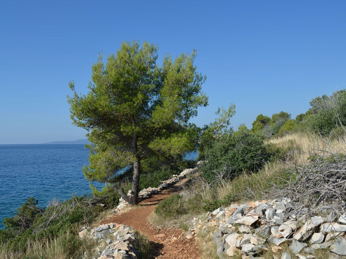 Villa Prana - Maison 6 pers. vue mer à 100m - Photo 33