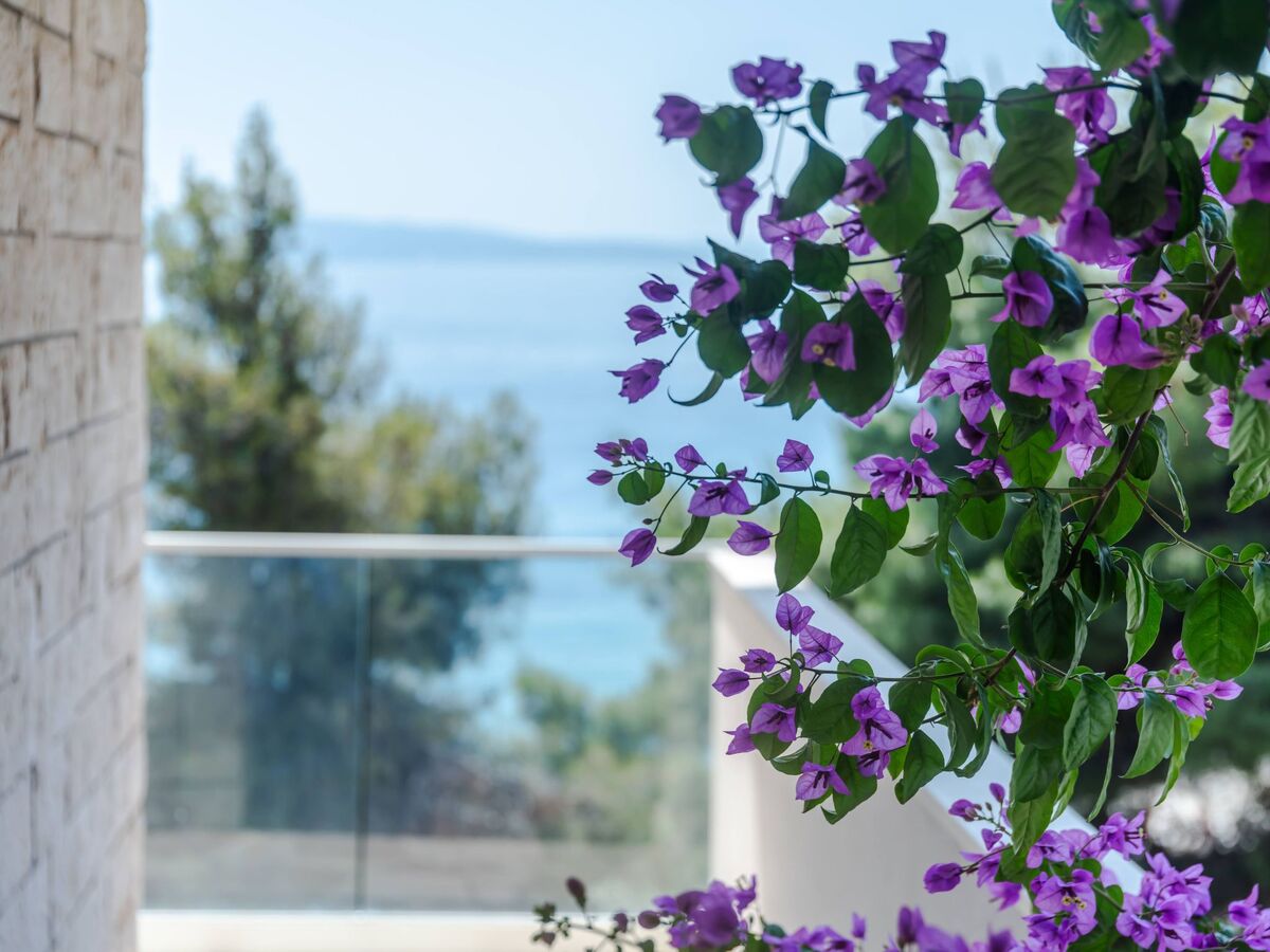 Maison 5 chambres avec vue mer à Okrug Gornji - Photo 37