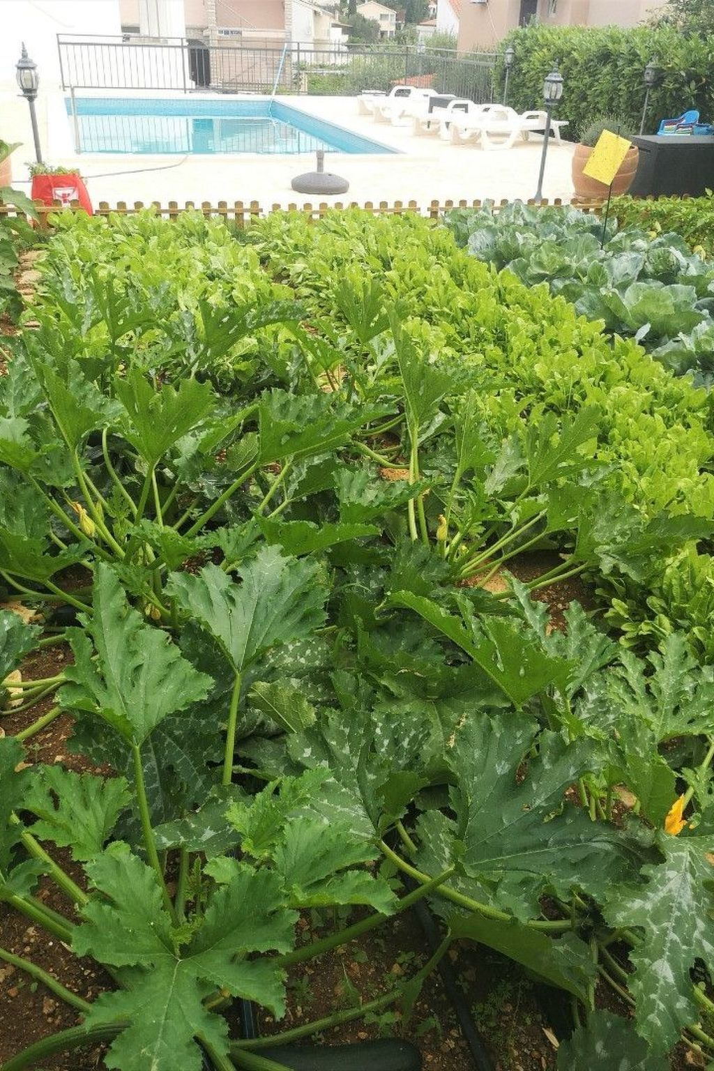 Maison 4 chambres avec piscine chauffée à Okrug Donji - Photo 9