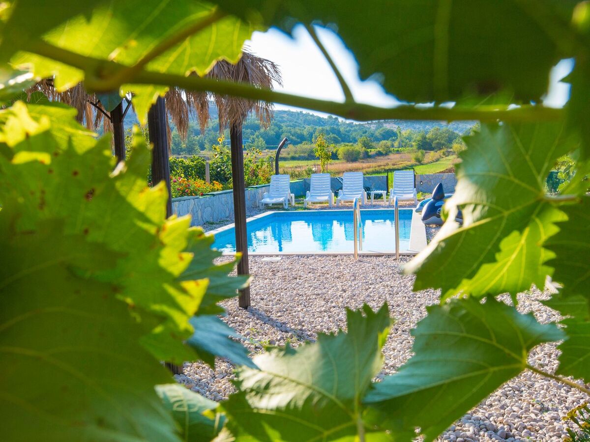 Villa Sonnenblume à Dicmo : piscine, jardin et 5 chambres - Photo 8