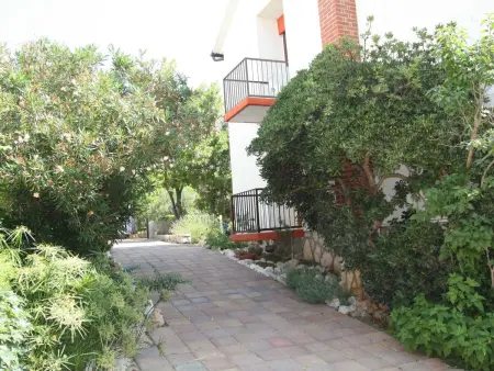 Maison 4 chambres avec piscine privée à Dragovode : photo 32