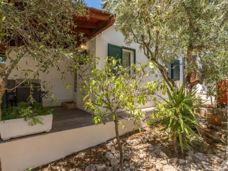 Maison 4 chambres avec piscine privée à Dragovode : photo 41